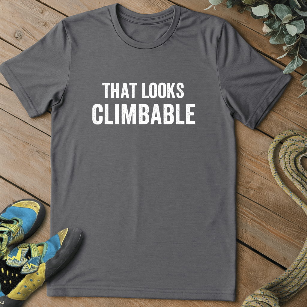Looks Climbable Grundge Tee
