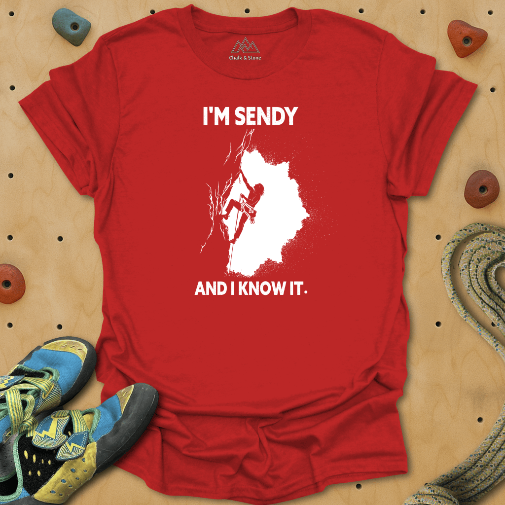 Sendy And I Know It Tee