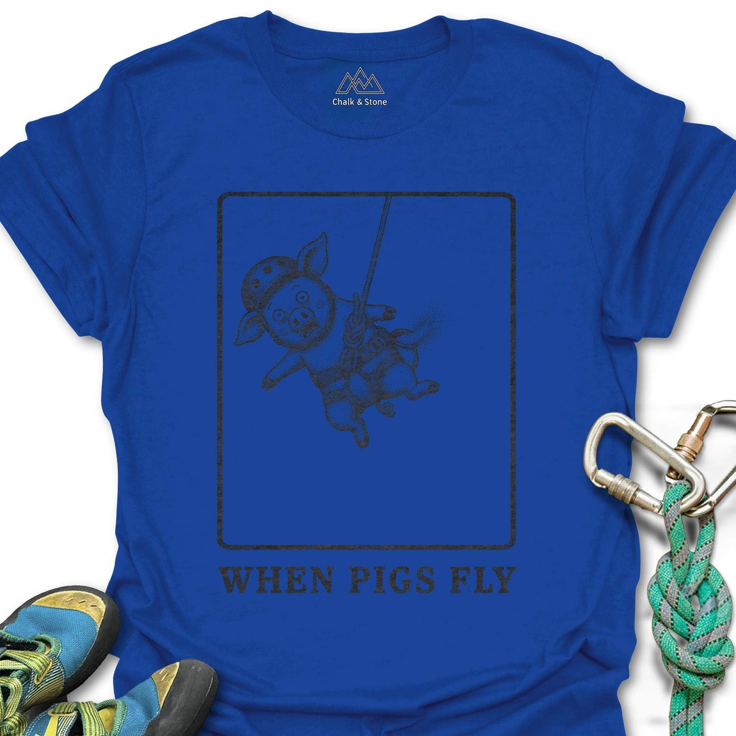 When Pigs Fly Tee