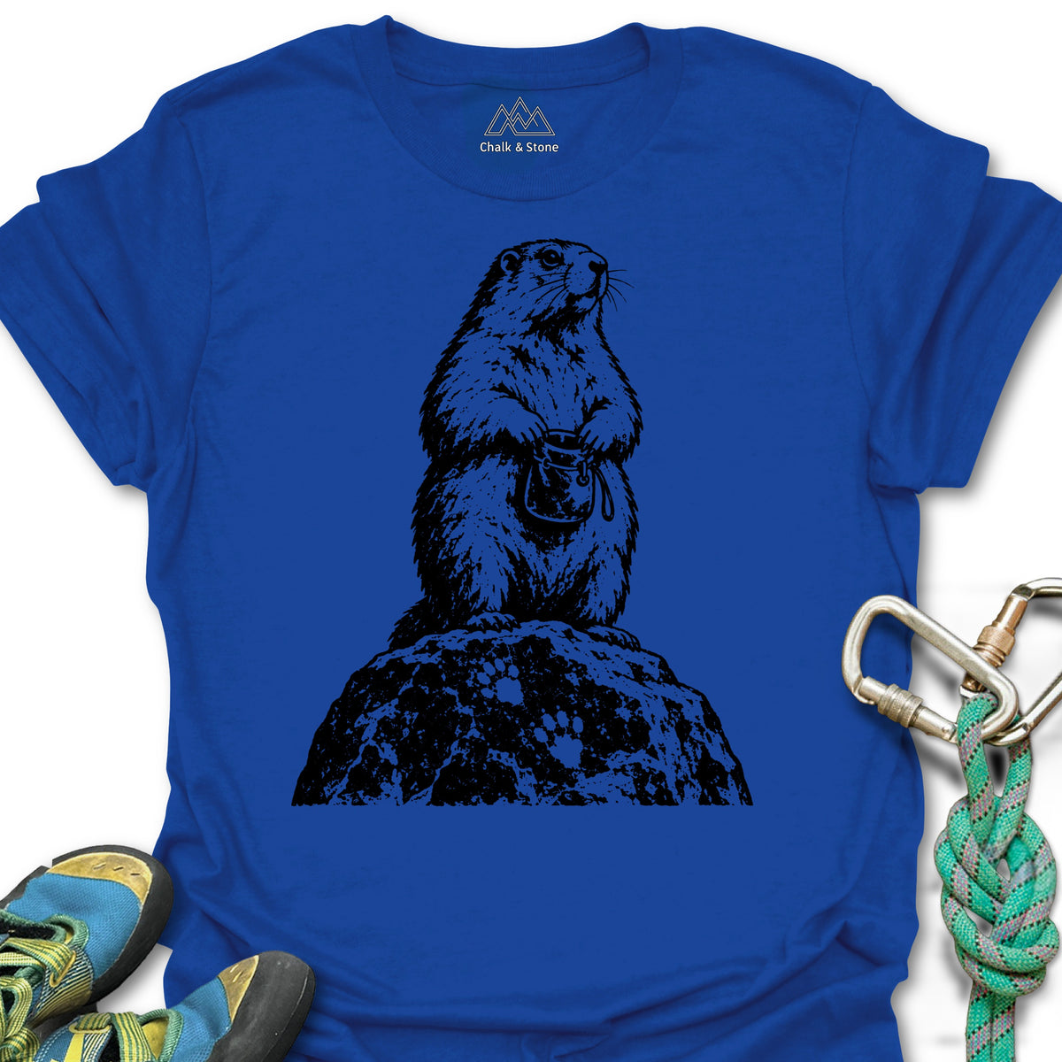 Marmot Lookout Stamp Tee in Royal — flat lay mockup