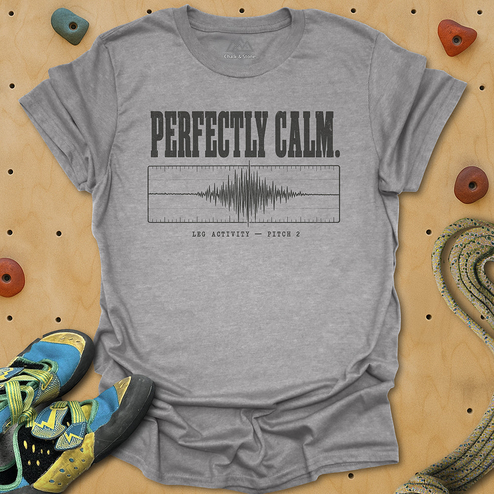 Calm Seismograph Tee