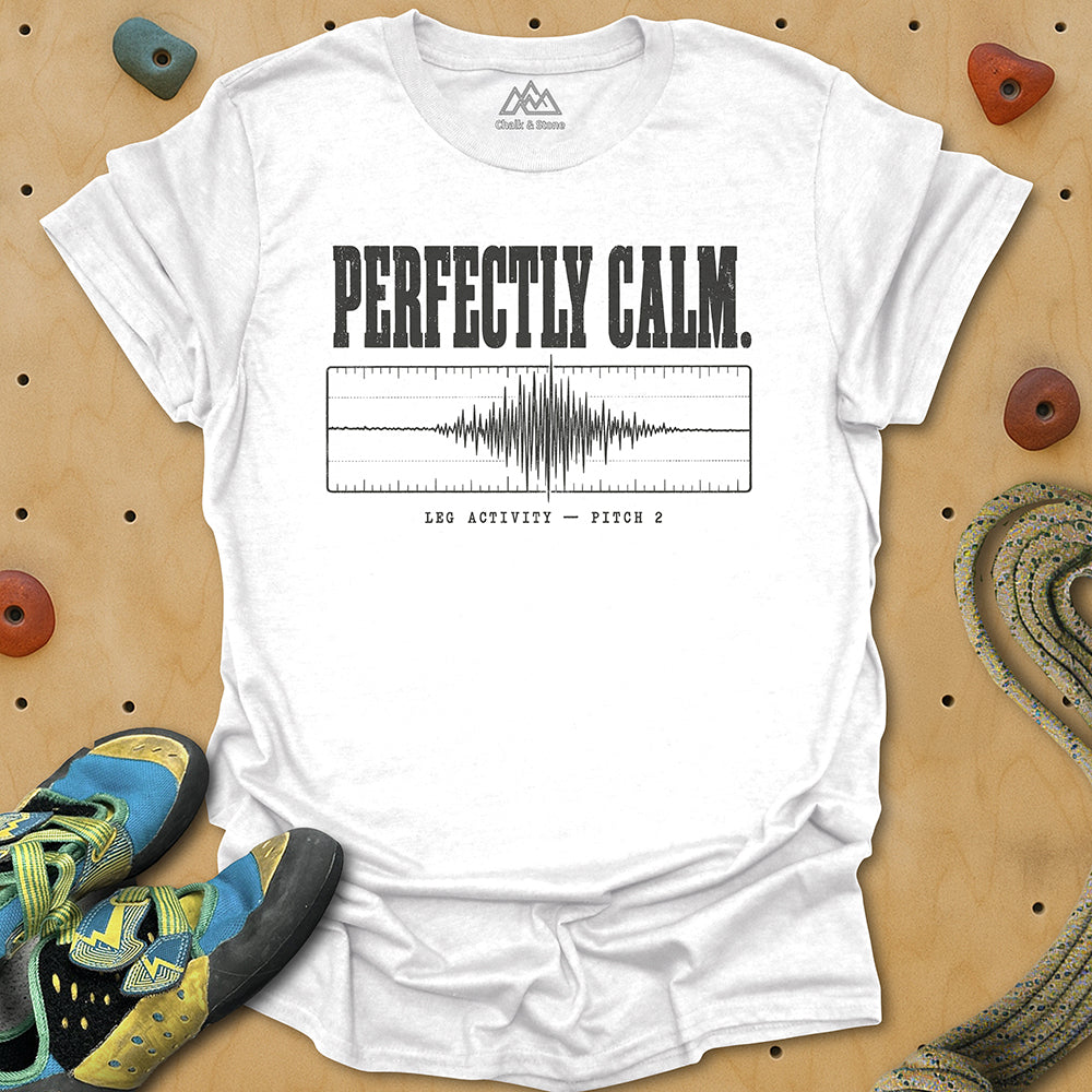 Calm Seismograph Tee